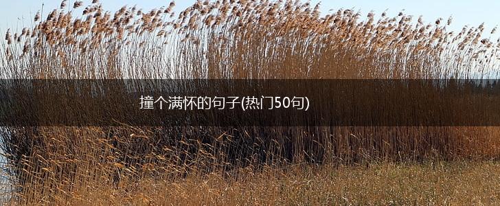 撞个满怀的句子(热门50句),第1张
