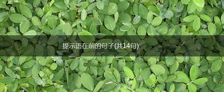提示语在前的句子(共14句),第1张