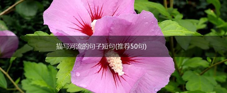 描写河流的句子短句(推荐50句),第1张