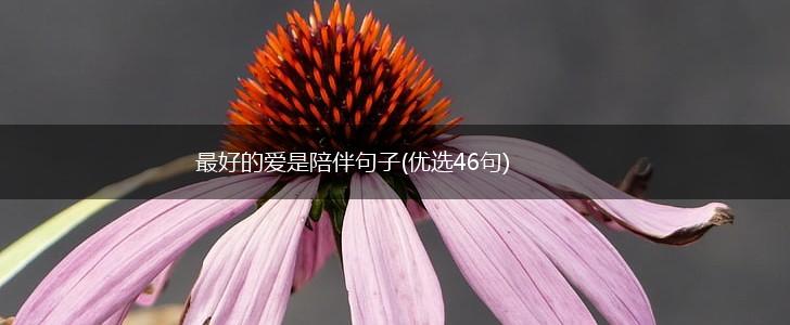 最好的爱是陪伴句子(优选46句),第1张