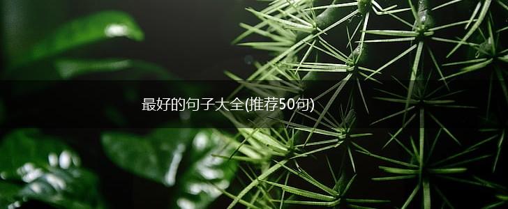 最好的句子大全(推荐50句),第1张