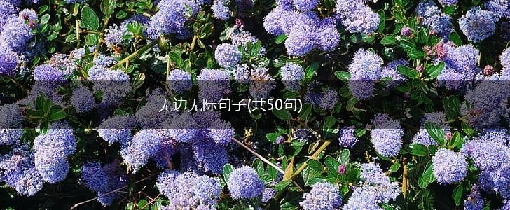 无边无际句子(共50句),第1张