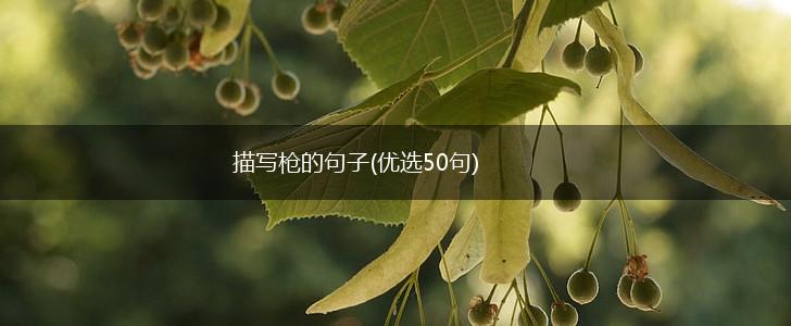 描写枪的句子(优选50句),第1张