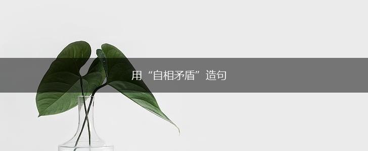 用“自相矛盾”造句,第1张 用“自相矛盾”造句,第1张