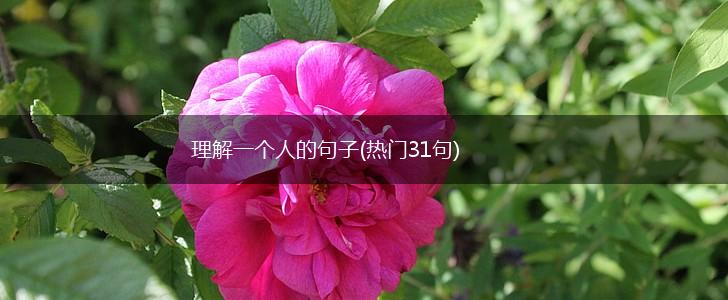理解一个人的句子(热门31句),第1张
