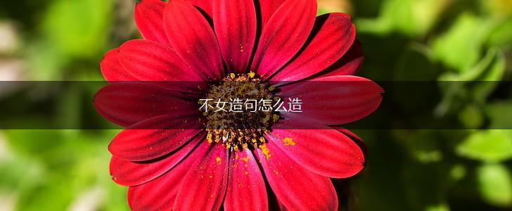 不女造句怎么造,第1张