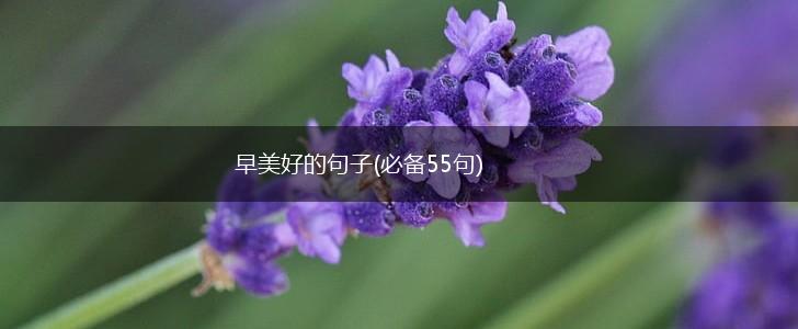 早美好的句子(必备55句),第1张