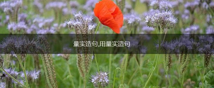 量实造句,用量实造句,第1张 量实造句,用量实造句,第1张