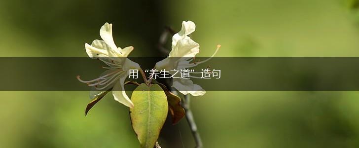 用“养生之道”造句,第1张 用“养生之道”造句,第1张