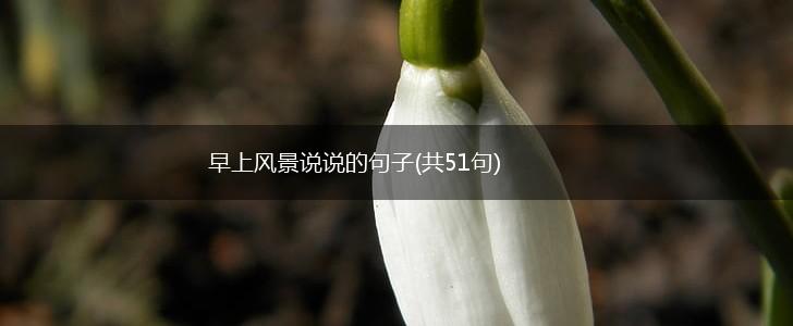 早上风景说说的句子(共51句),第1张
