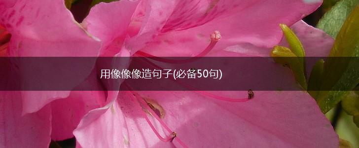 用像像像造句子(必备50句),第1张