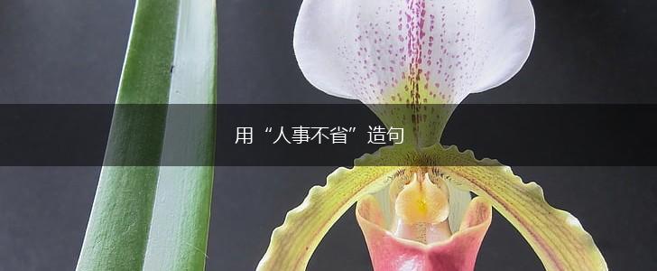 用“人事不省”造句,第1张 用“人事不省”造句,第1张