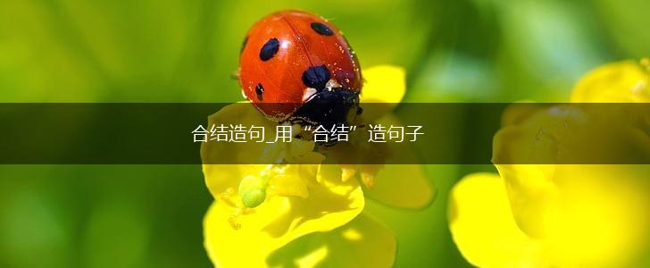 合结造句_用“合结”造句子,第1张 合结造句_用“合结”造句子,第1张