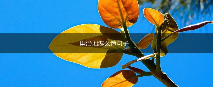 用治地怎么造句子,第1张