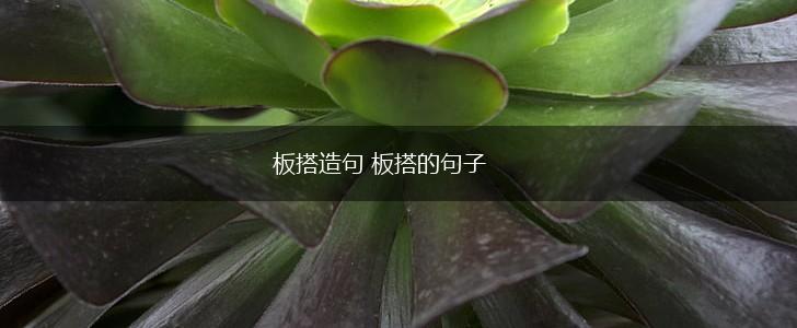 板搭造句 板搭的句子,第1张