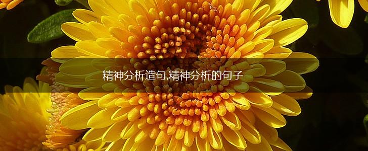 精神分析造句,精神分析的句子,第1张 精神分析造句,精神分析的句子,第1张
