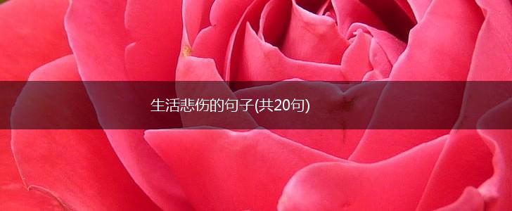 生活悲伤的句子(共20句),第1张