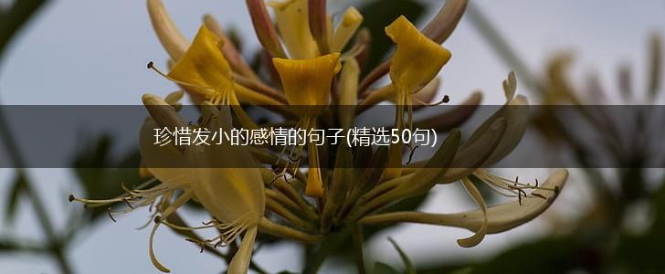珍惜发小的感情的句子(精选50句),第1张