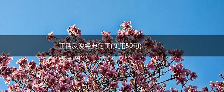 正话反说经典句子(实用50句),第1张