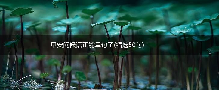 早安问候语正能量句子(精选50句),第1张