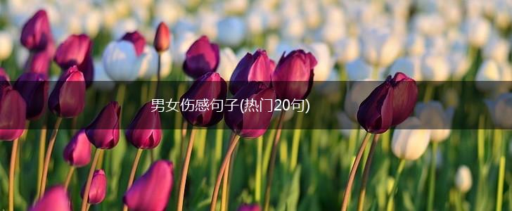 男女伤感句子(热门20句),第1张