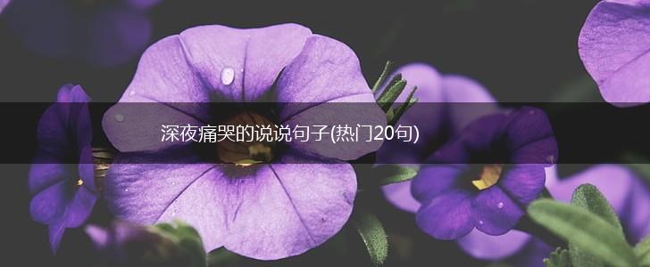 深夜痛哭的说说句子(热门20句),第1张