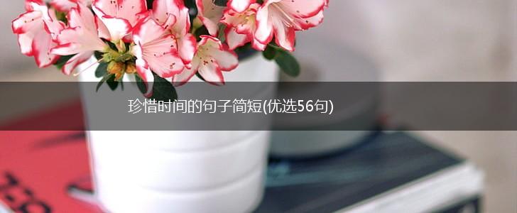 珍惜时间的句子简短(优选56句),第1张