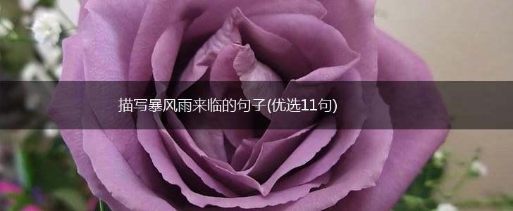 描写暴风雨来临的句子(优选11句),第1张