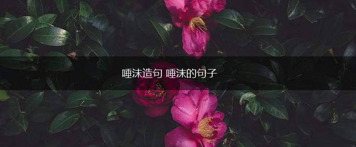 唾沫造句 唾沫的句子,第1张 唾沫造句 唾沫的句子,第1张