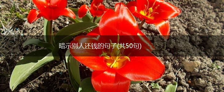 暗示别人还钱的句子(共50句),第1张