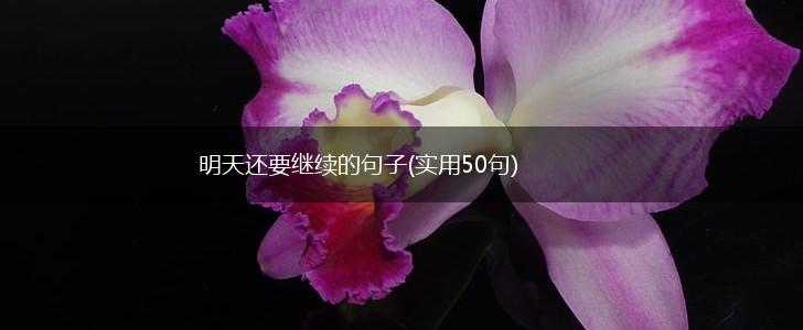明天还要继续的句子(实用50句),第1张
