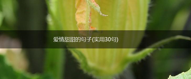 爱情甜甜的句子(实用30句),第1张