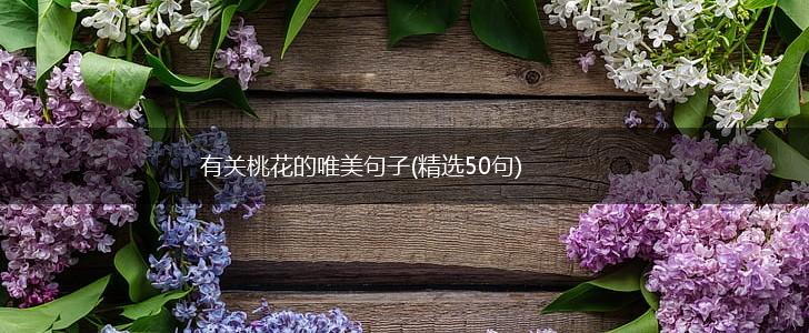 有关桃花的唯美句子(精选50句),第1张