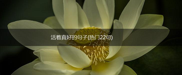 活着真好的句子(热门22句),第1张