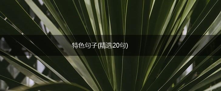 特色句子(精选20句),第1张