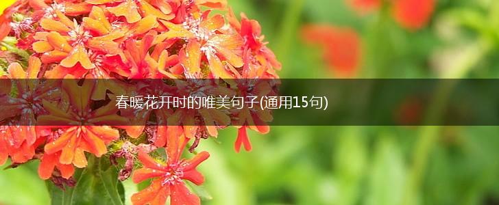 春暖花开时的唯美句子(通用15句),第1张
