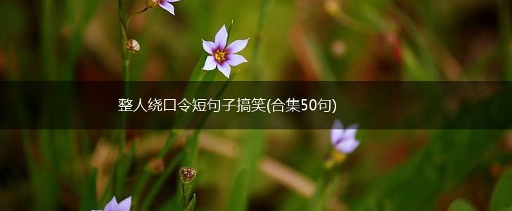 整人绕口令短句子搞笑(合集50句),第1张