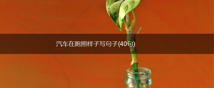 汽车在跑照样子写句子(40句),第1张