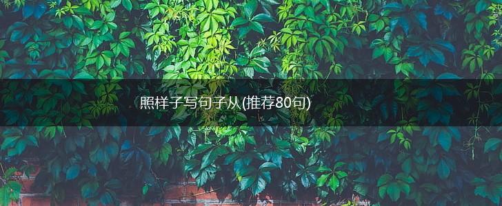 照样子写句子从(推荐80句),第1张