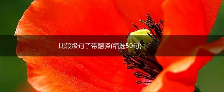 比较级句子带翻译(精选50句),第1张