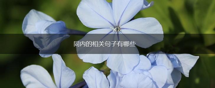 同内的相关句子有哪些,第1张 同内的相关句子有哪些,第1张