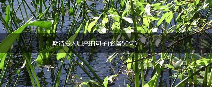 期待爱人归来的句子(必备50句),第1张