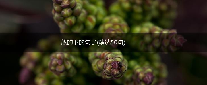 放的下的句子(精选50句),第1张
