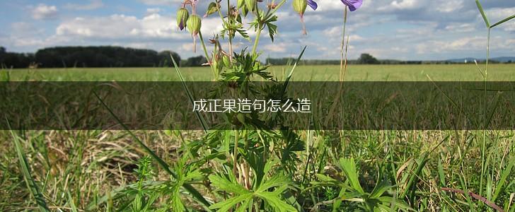 成正果造句怎么造,第1张