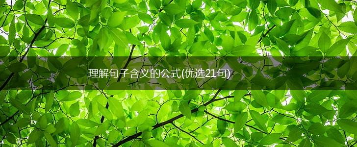 理解句子含义的公式(优选21句),第1张