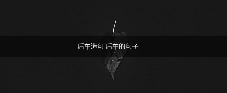 后车造句 后车的句子,第1张