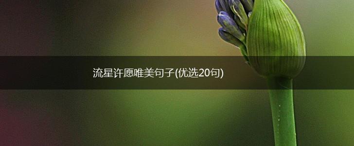 流星许愿唯美句子(优选20句),第1张