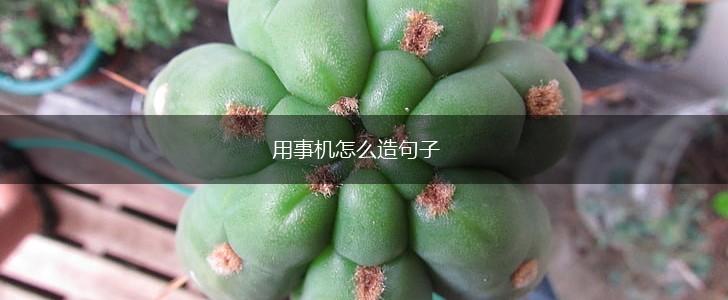 用事机怎么造句子,第1张 用事机怎么造句子,第1张