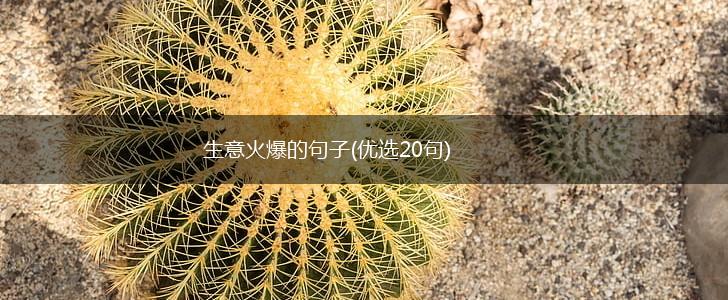 生意火爆的句子(优选20句),第1张