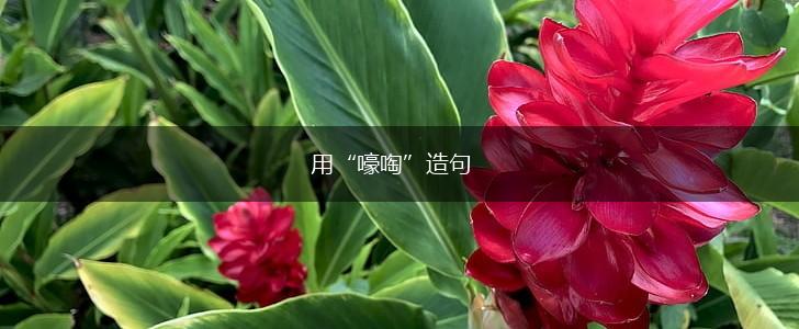 用“嚎啕”造句,第1张 用“嚎啕”造句,第1张